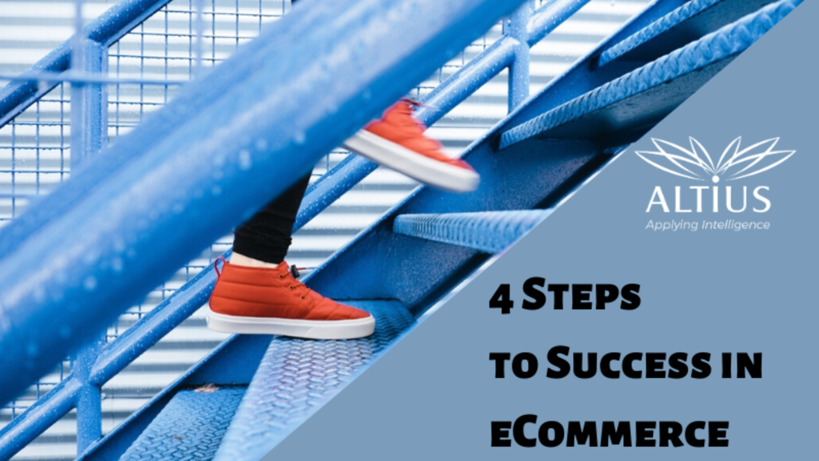 4-steps-to-success-in-ecommerce