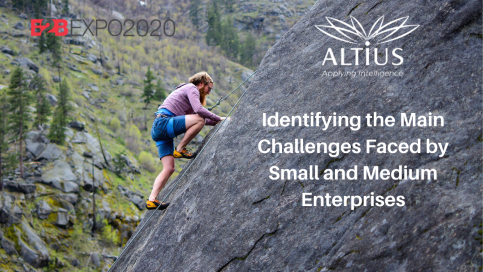 Identifying-the-Main-Challenges-Faced-by-Small-and-Medium-Enterprises